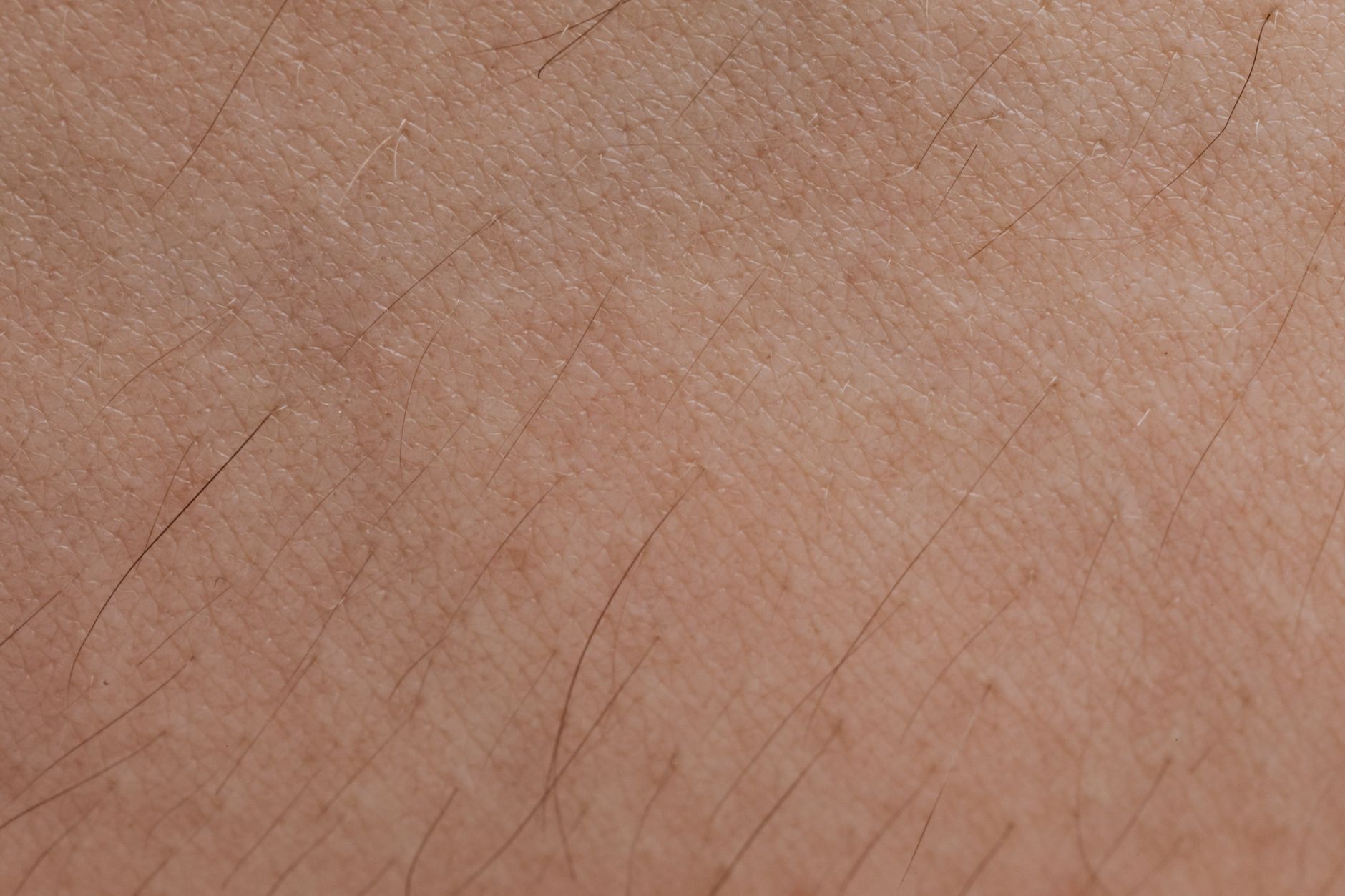 Extreme close up of skin showing natural pores and fine hairs