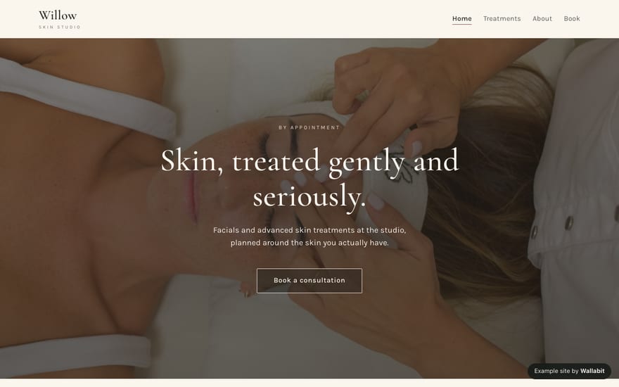 Home page of the Willow Skin Studio example site